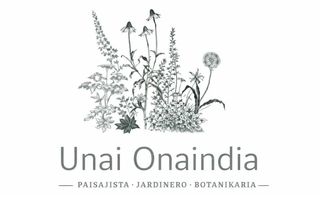 unai onaindia logo